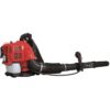 Souffleur a dos thermique LB5200BP - 51