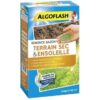 ALGOFLASH - Gazon terrain sec ensoleillé 1kg