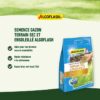 ALGOFLASH - Gazon terrain sec ensoleillé 1kg – Image 4