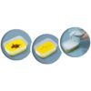 Jeu scientifique - Fossiles de dinosaures - SES CREATIVE – Image 3