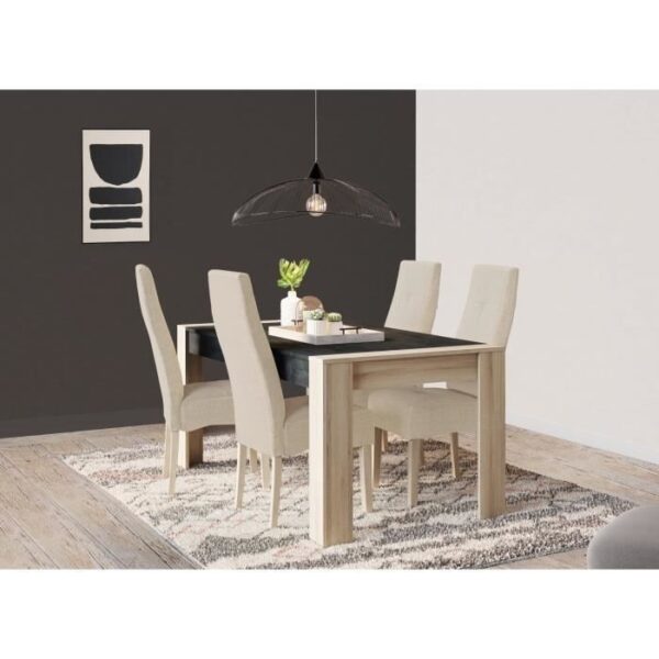 Ensemble Table a manger 170x190cm et 4 chaises SHEFFIELD - DEMEYERE