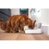 SUREFEED Distributeur de nourriture automatique pour chat anti-odeur - Blanc (Livré avec un bol simple) – Image 3