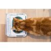 SUREFEED Distributeur de nourriture automatique pour chat anti-odeur - Blanc (Livré avec un bol simple) – Image 5