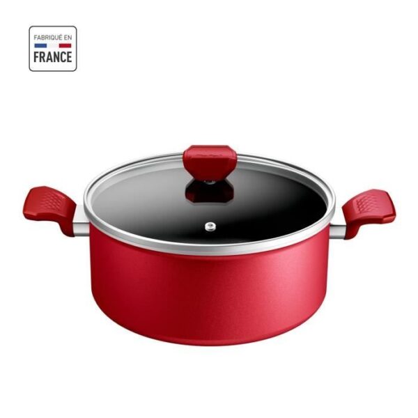 TEFAL Faitout 24 cm