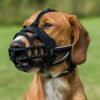 Museliere - TRIXIE - Muzzle Flex - Caoutchouc - Taille XL/XXL - Noir – Image 4