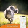 Traceur GPS pour Chat - Weenect XS (White Edition 2023) – Image 4