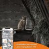 Traceur GPS pour Chat - Weenect XS (White Edition 2023) – Image 6