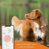 Traceur GPS pour Chien - Weenect XS (White Edition 2023) – Image 4