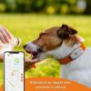 Traceur GPS pour Chien - Weenect XS (White Edition 2023) – Image 5