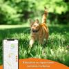 Traceur GPS pour Chat - Weenect XS (Black Edition 2023) – Image 3