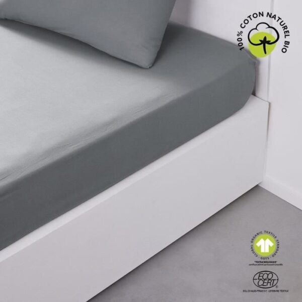 Drap housse - TODAY - 180 x 200 cm + 30 cm - Coton - Organic Acier