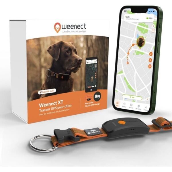 Collier GPS pour chien - WEENECT Chien XT - Antenne XL - Etanche - Collier Julius-K9 - Fonctionne avec abonnement - Orange